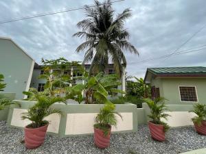 a palm tree inront of a house with potted plants at Connect Africa Apartments in Accra