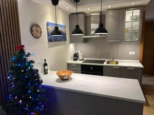 馬里爾伊瓦的住宿－Bellavista Marilleva 1400 - Val di Sole，厨房的柜台上摆放着圣诞树