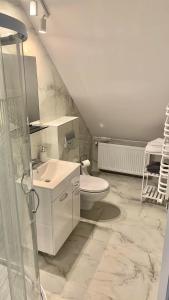 Baño blanco con aseo y lavamanos en Apartament Borowik, en Kojszówka