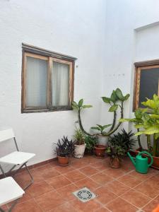 un patio con piante in vaso e una parete bianca di Casa Rural Teresita Entera Tranquila Llena de Bienestar a Güímar