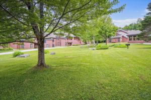 a tree in a yard in front of a house at Trail Creek 43 in Killington