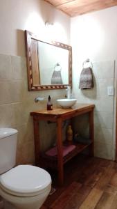a bathroom with a sink and a toilet and a mirror at Los Acacios in El Hoyo