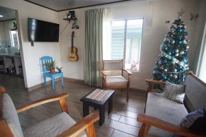a living room with a christmas tree in the corner at Argdivan Hostel in Fortuna