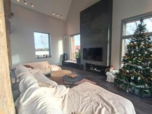 ein Wohnzimmer mit einem Weihnachtsbaum und einer Couch in der Unterkunft Ame O des Flandres La Villa in Boeschèpe