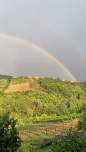 een regenboog in de lucht boven een veld met bomen bij Masseria Marotta in Santa Paolina
