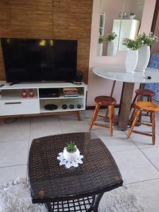 a living room with a television and a table with a plant at Pousada da Lua in Rolante