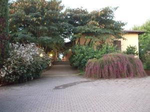 une maison avec un jardin planté de buissons et d'arbres dans l'établissement Villa Mimosa, à Medesano