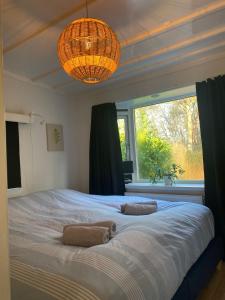 a bedroom with a large bed with a large window at Private Big Garden double Chalet with Outside HOTTUB and BARRELSAUNA, Woodside, Nature in Voorthuizen