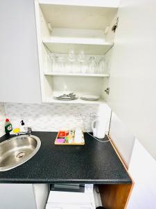 a small kitchen with a sink and a counter at Private Studio Flat in City 1190 in London