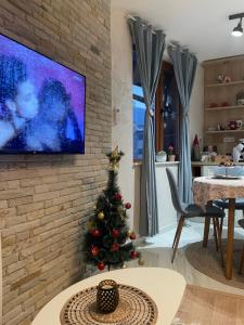 a christmas tree in a living room with a tv at Boutique apartment Bansko Bell Tower in Bansko