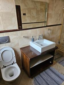 Łazienka z białą toaletą i umywalką w obiekcie The Hide in Sandton 2 w mieście Sandton