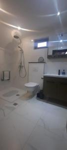 a bathroom with a shower and a sink and a toilet at Vikendica Bulat in Blidinje