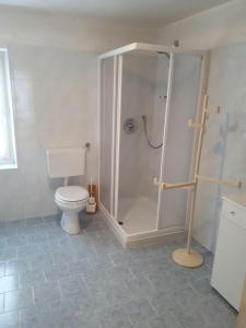 ポッツァ・ディ・ファッサにあるCiasa de Anzのバスルーム(シャワー、トイレ付)