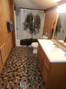 y baño con lavabo, aseo y ducha. en Harmony Tree Resorts inc, en Nashville