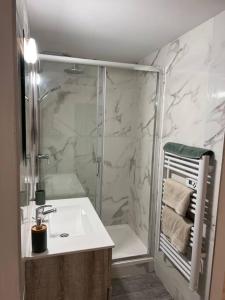 a bathroom with a shower and a white sink at La Mezzavilla in Nuits-Saint-Georges