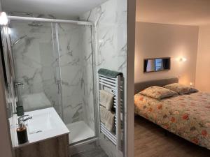 a bathroom with a shower and a bed and a sink at La Mezzavilla in Nuits-Saint-Georges