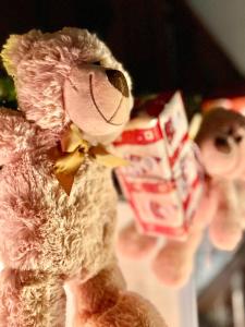 a stuffed teddy bear sitting next to a box of candy at Hotel Nosal Ski & Wine in Zakopane