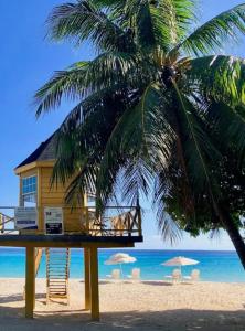 a house on the beach with a palm tree at Private Garden Suite, Surf, Work, Relax in Christ Church