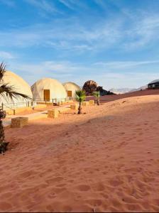een groep koepels in de woestijn met palmbomen bij Rum Goldeneye luxury camp in Wadi Rum