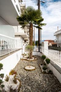 a courtyard with a palm tree on a balcony at Airbnb Kastoria - Bella Vista A in Kastoria