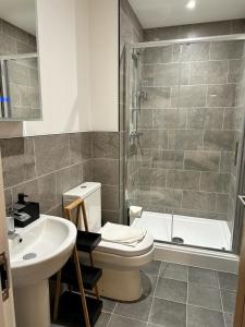 a bathroom with a toilet and a sink and a shower at 2 Ashbrook Margaret - luxury 2 bed ground floor in Oxford
