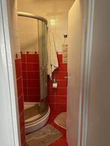 uma casa de banho com um chuveiro com azulejos vermelhos em Apartman LALA - Beograd, Surčin em Surčin