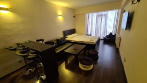 TV a/nebo společenská místnost v ubytování New Gudauri Apartment
