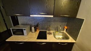 Kuchyň nebo kuchyňský kout v ubytování New Gudauri Apartment