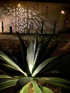 ภาพในคลังภาพของ Electroliquid's Casa Pueblo Joshua Tree ในโจชัวทรี