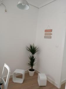 um quarto com duas cadeiras brancas e um vaso de plantas em El Rincón de San Lorenzo. Casco Histórico Córdoba. em Córdoba