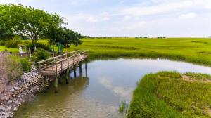 a wooden bridge over a river in a field at Ocean Front D-Building - POOL ACCESS AND OCEAN VIEWS!!! in Harbor Island