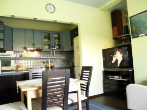 Kuchyň nebo kuchyňský kout v ubytování Apartment Ombla