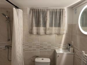 ein kleines Bad mit einem WC und einer Dusche in der Unterkunft Studio proche forêt in Montmorency