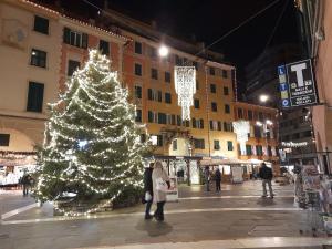 Un árbol de Navidad en medio de una calle en Sweet Lucy, en Rapallo