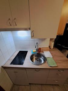 a kitchen counter with a sink and a stove at Carolina in Zagreb