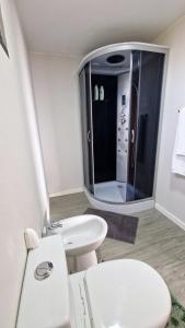 ein Badezimmer mit einem WC, einem Waschbecken und einem Spiegel in der Unterkunft Casa da Levada do Arco in Arco da Calheta