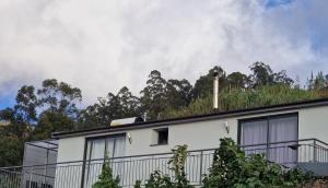 a white house with a grass roof with trees at Casa da Levada do Arco in Arco da Calheta