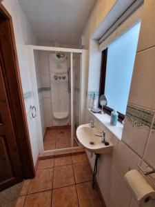 a small bathroom with a shower and a sink at Cosy Cottage in Edern, Morfa Nefyn, Golf, Near Ty Coch in Ederyn +9 photos