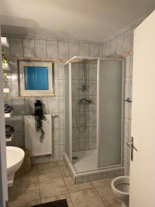 a bathroom with a shower with a toilet and a sink at Appartement de charme in Fleurus