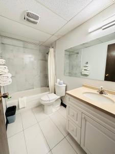 baño con lavabo y espejo en Pleasant Valley Motel Houston, en Houston