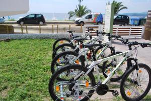 Ciclismo en Eco Green Living o alrededores