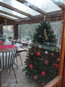 LenolaにあるPetalo Rosso b&bのテーブル付きの部屋のクリスマスツリー