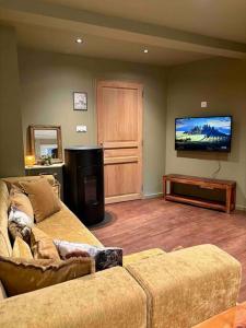 a living room with a couch and a flat screen tv at Suites du trèfle in Colmar
