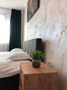 Afbeelding uit fotogalerij van STEFANIA in Piatra Neamţ