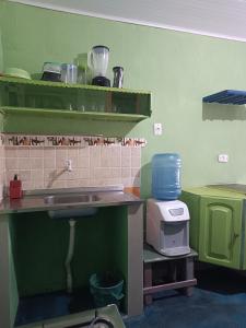 a kitchen with green walls and a counter with a sink at Kitnet no Farol Velho in Salinópolis