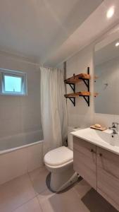 プコンにあるDepartamento en la magia del surのトイレと洗面台を備えた白いバスルーム