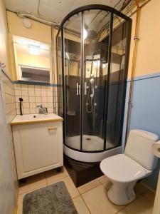 ein Bad mit einer Dusche, einem WC und einem Waschbecken in der Unterkunft Rauhallinen kaksio Lahdentie tuntumassa, lentokenttämajoitus ja sähköauton latauspiste in Vantaa