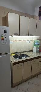 eine Küche mit einer Spüle und einem Kühlschrank in der Unterkunft Palermo Soho, Oh! Mi lugar favorito in Buenos Aires