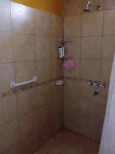 蒂諾加斯塔的住宿－POSADA CUATRO HERMANOS，带淋浴的浴室