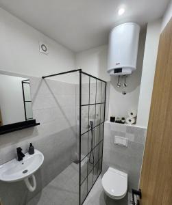 a bathroom with a toilet and a sink at Magazaki Apartments Tešnjar in Valjevo